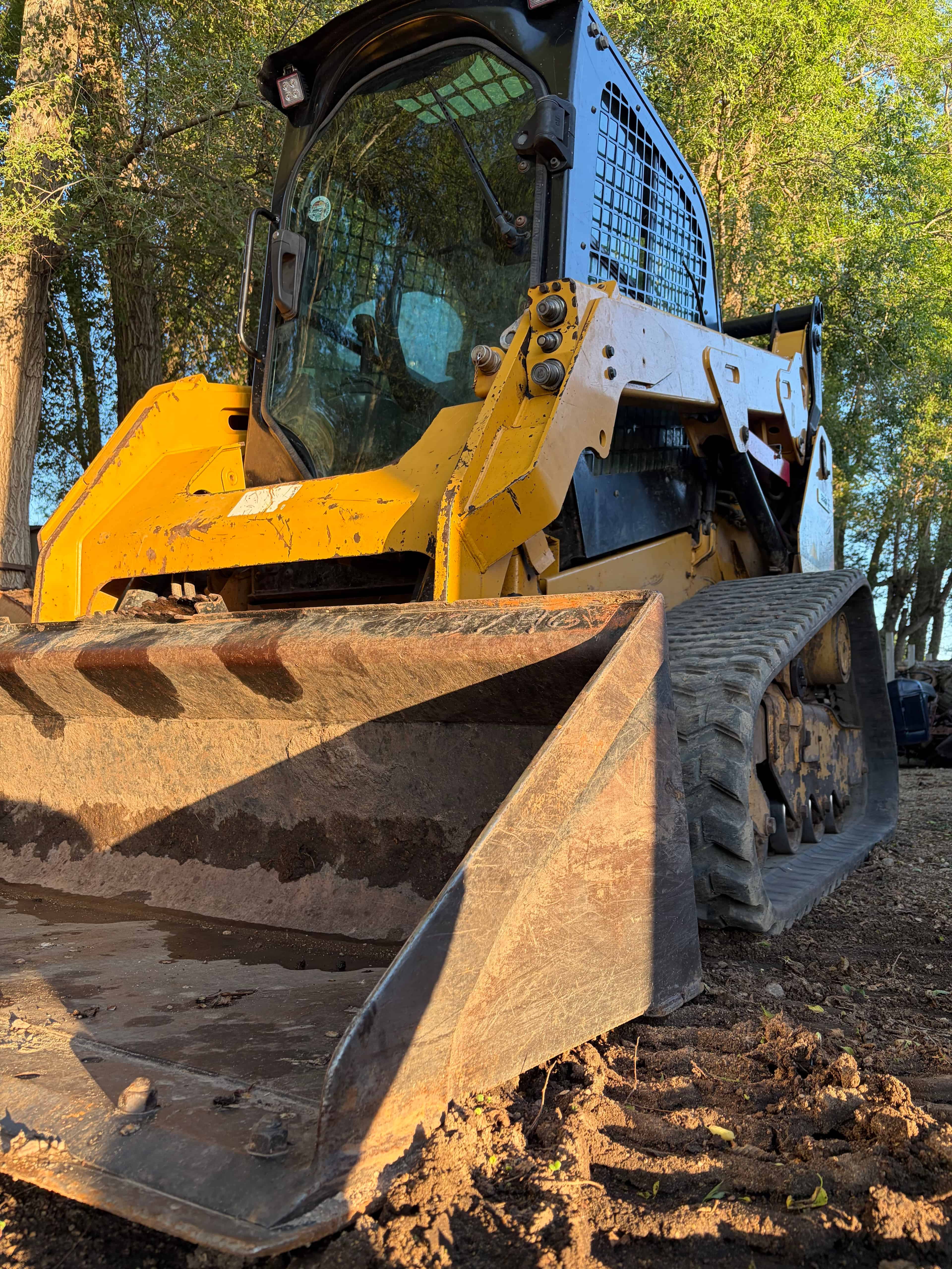 Trail Cleanup & Rebuild image