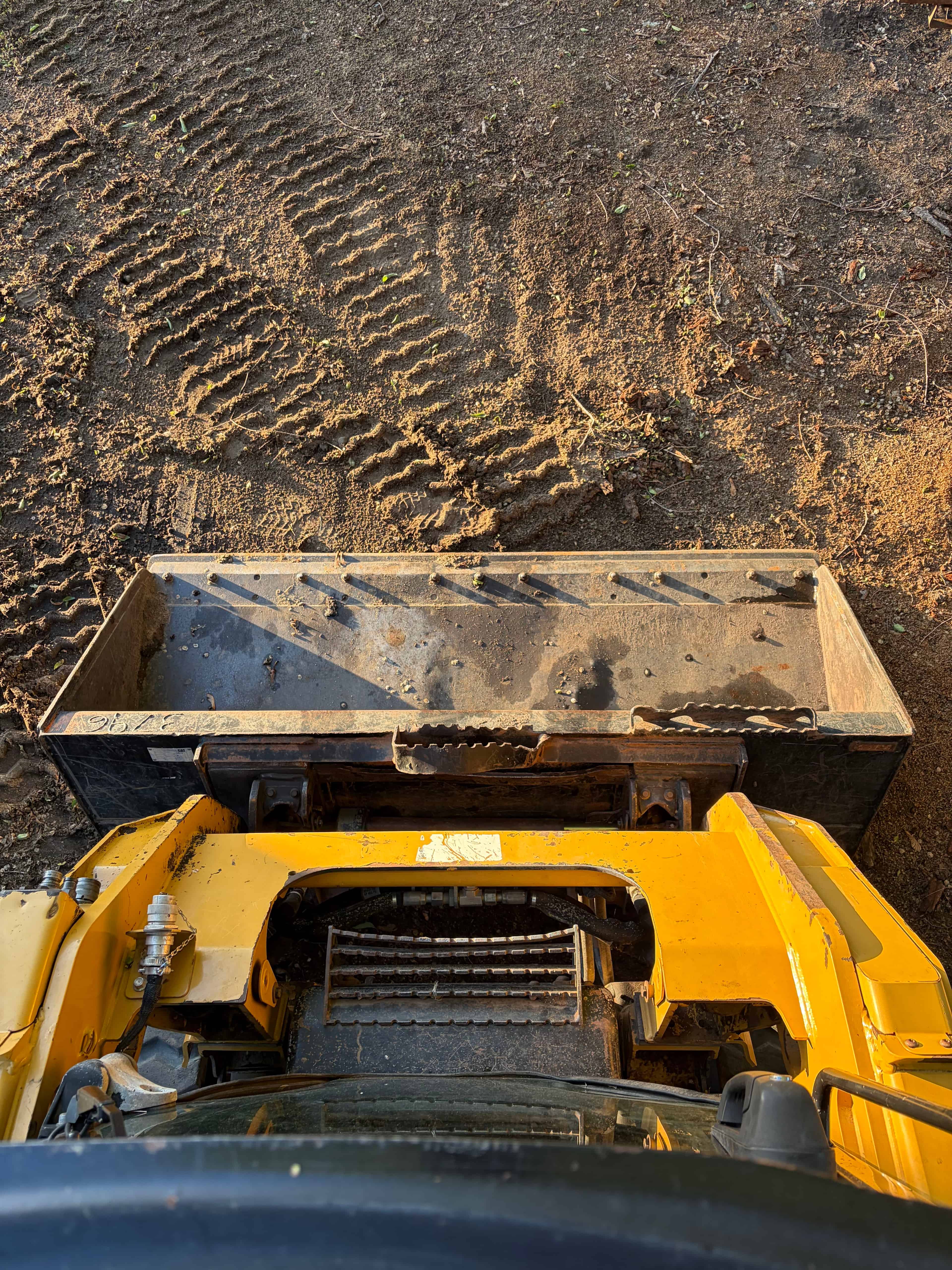 Fertilizing image