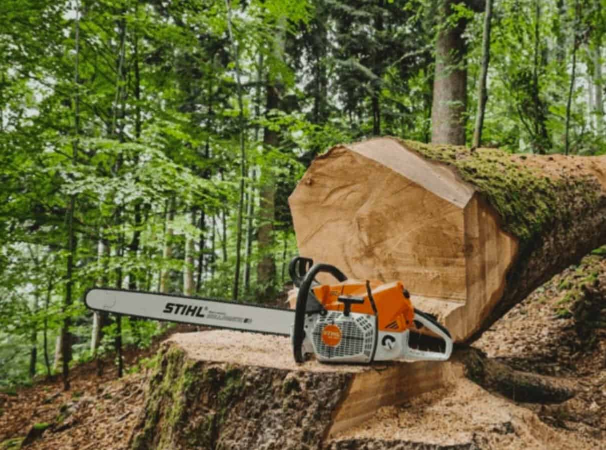 Tree Removal image