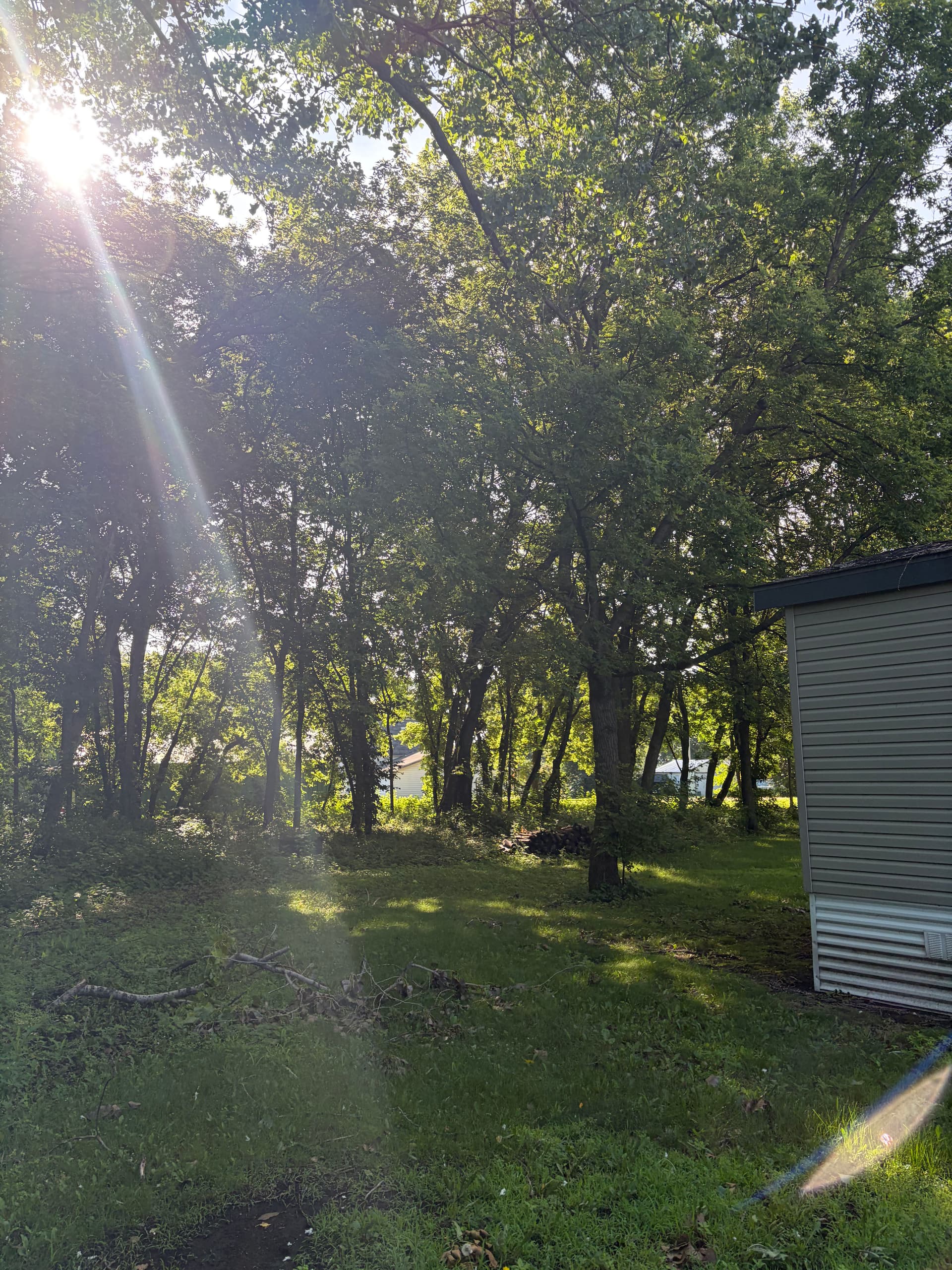 Gallery photos for Land Clearing Done Right in Litchfield MN: Image #2