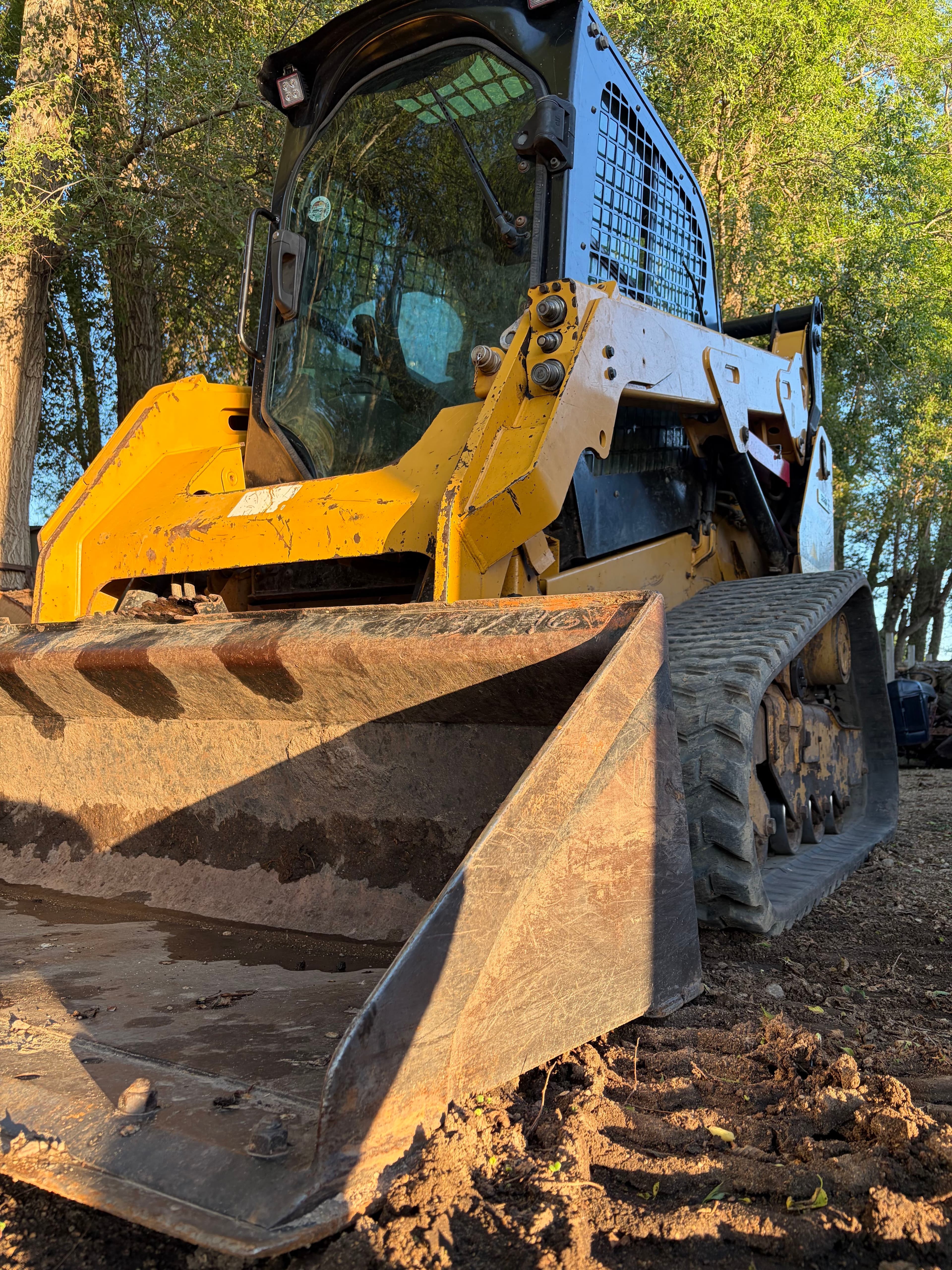 Trail Cleanup & Rebuild image