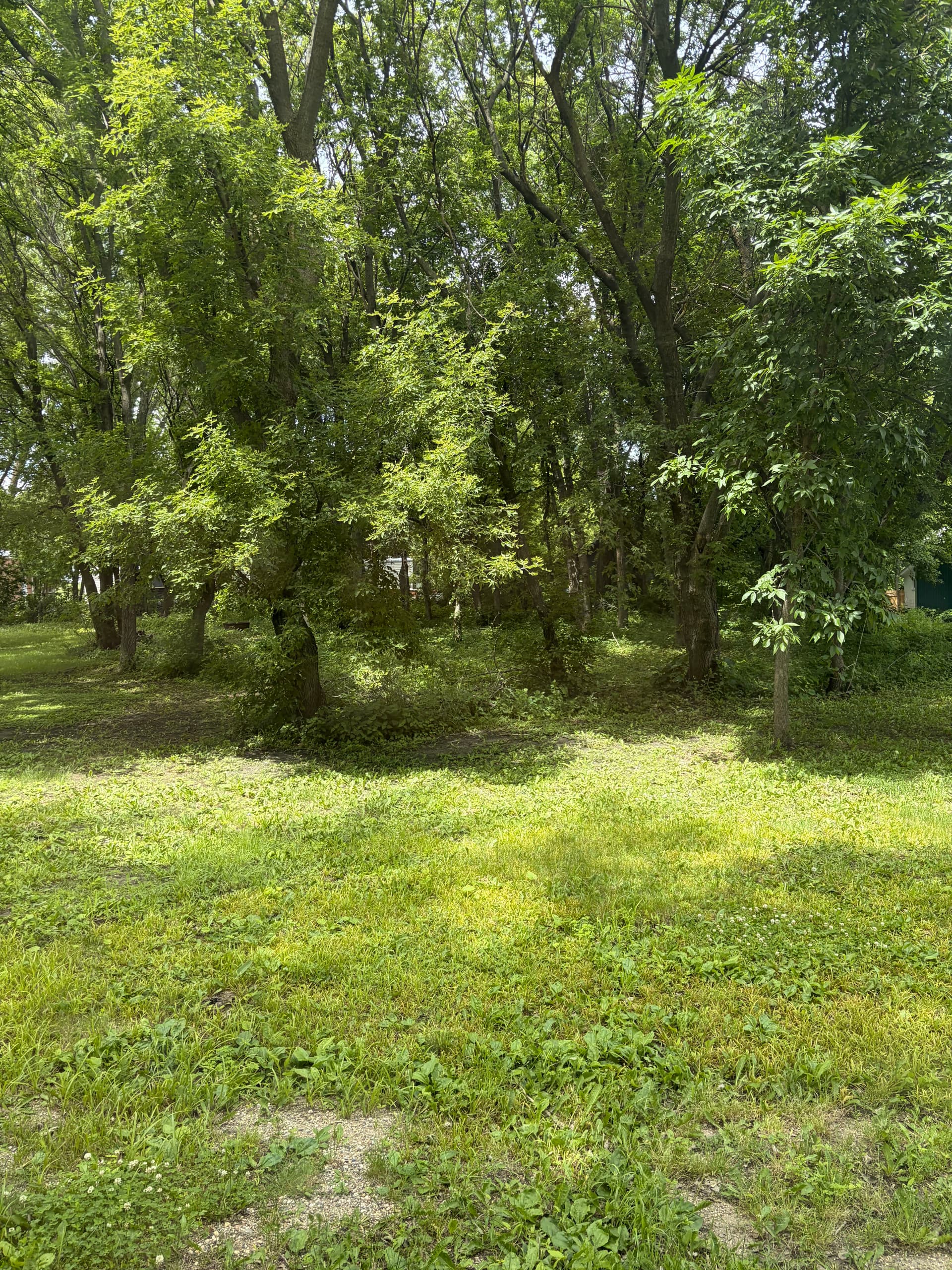 Gallery photos for Land Clearing Done Right in Litchfield MN: Image #4