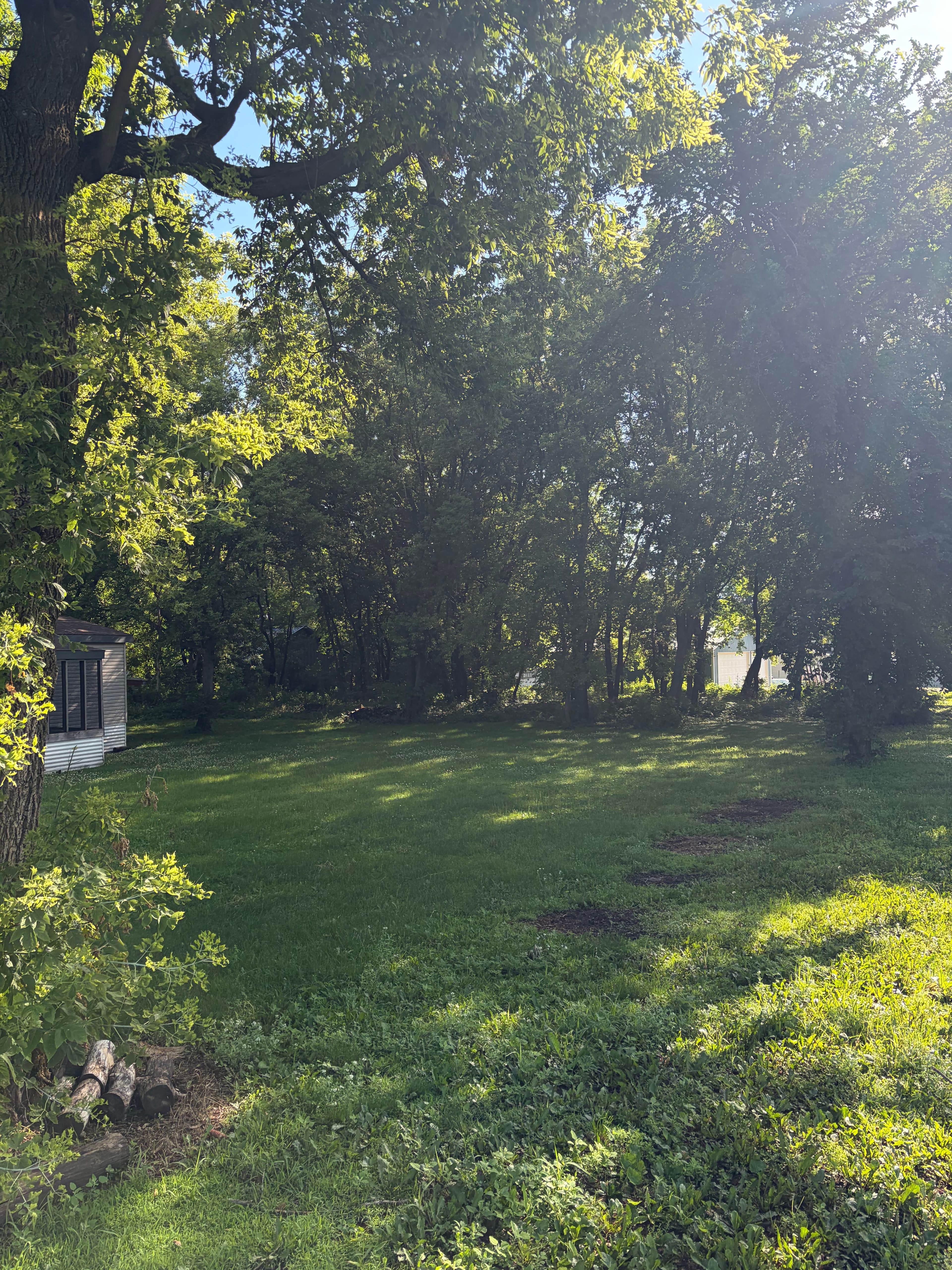 Project Land Clearing Done Right in Litchfield MN image